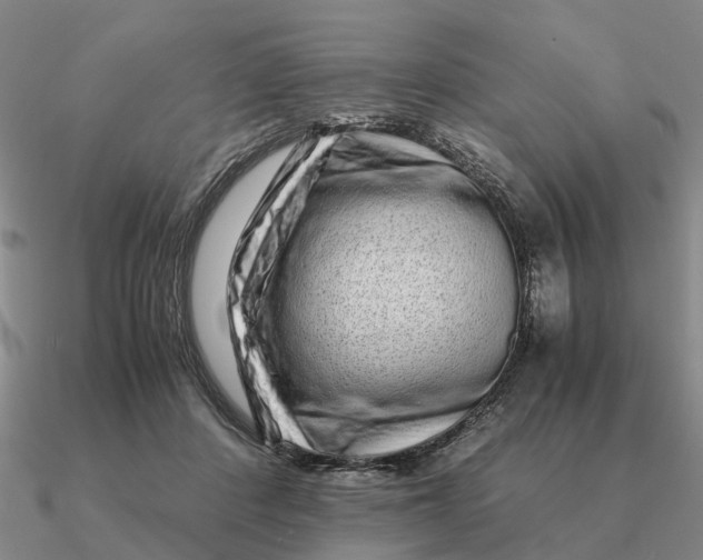 X0000090600408200708071147