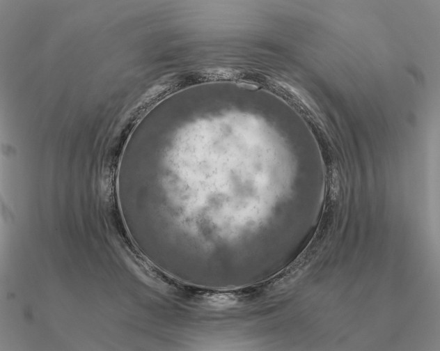 X0000090600409200708071147