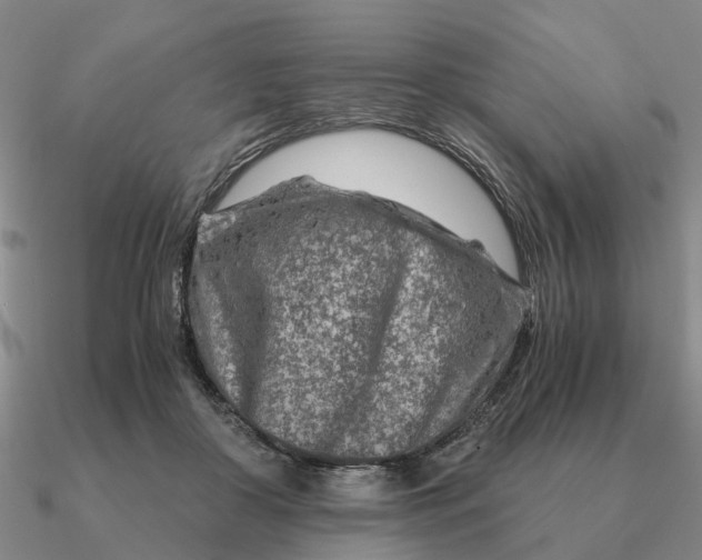 X0000090600410200708071147