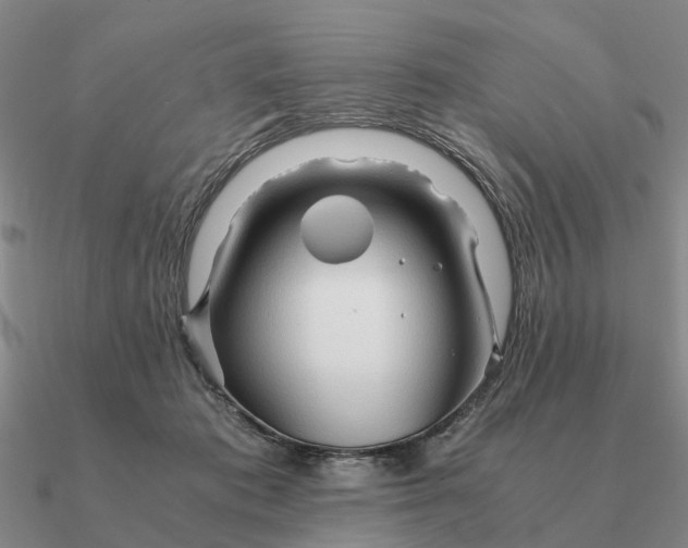 X0000090600413200708071147