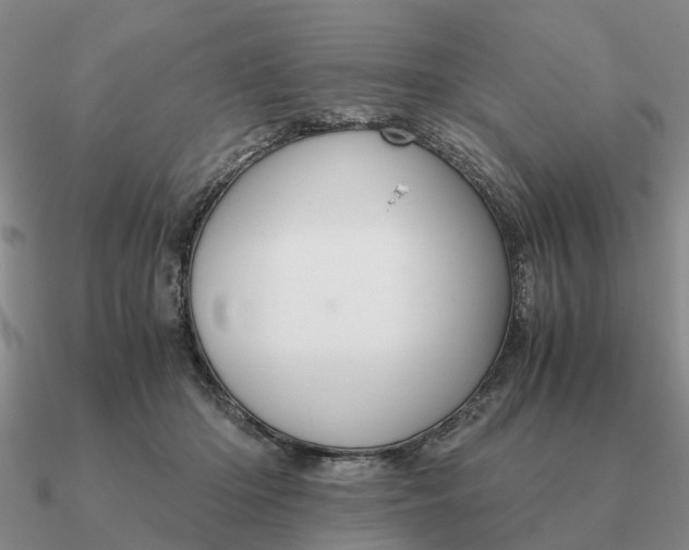 X0000090600414200708071147