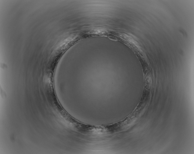 X0000090600415200708071147