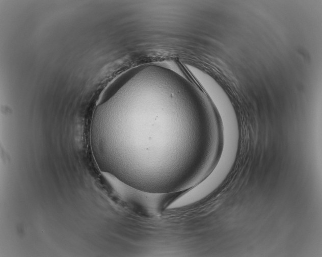 X0000090600416200708071147