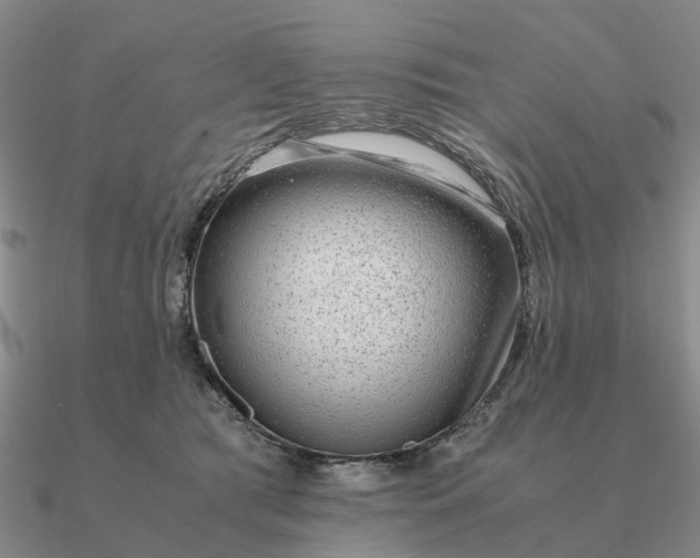 X0000090600417200708071147