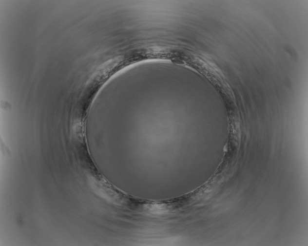 X0000090600419200708071147