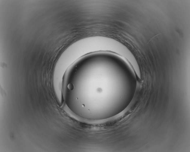 X0000090600420200708071147