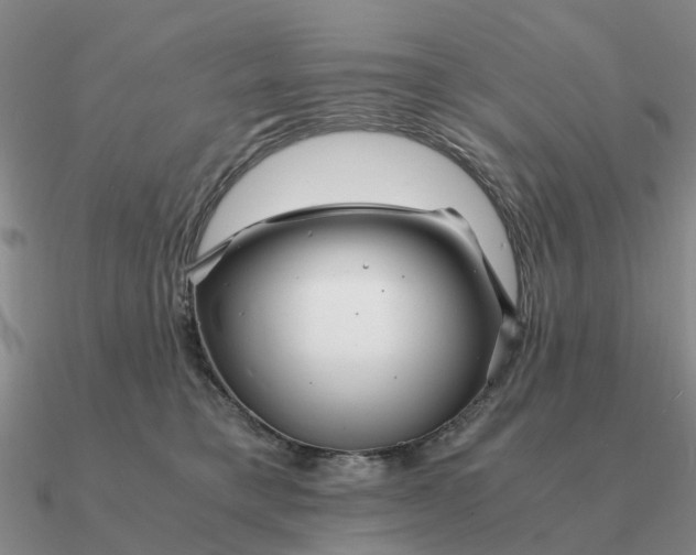 X0000090600421200708071147