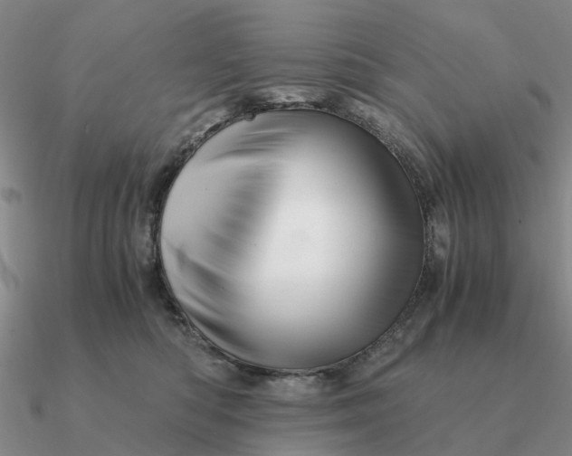 X0000090600422200708071147