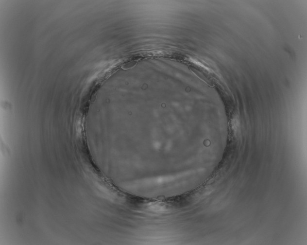 X0000090600423200708071147