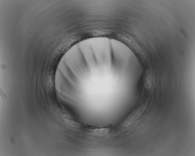 X0000090600426200708071147