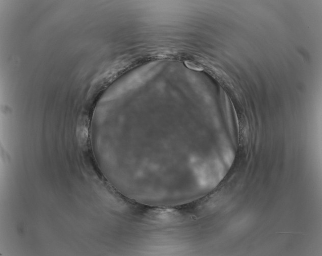 X0000090600427200708071147