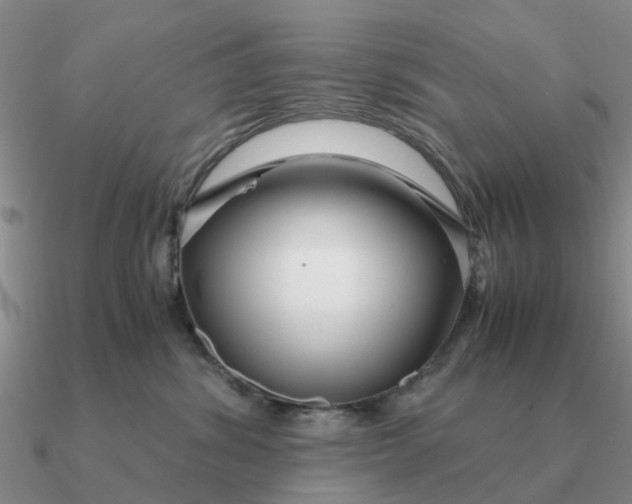 X0000090600428200708071147