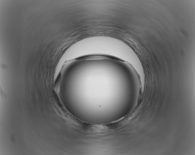 X0000090600429200708071147