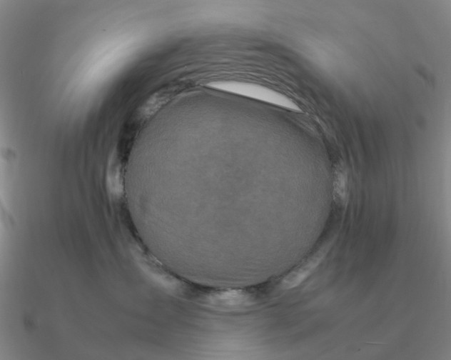 X0000090600431200708071147