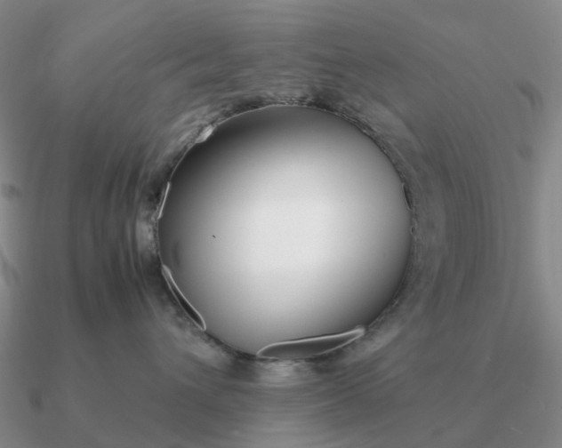 X0000090600432200708071147