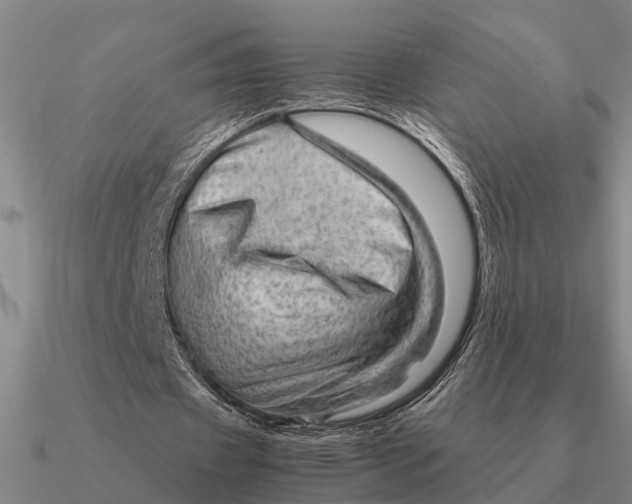 X0000090600433200708071146