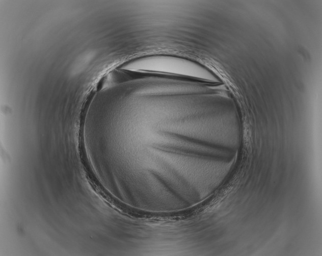 X0000090600434200708071146