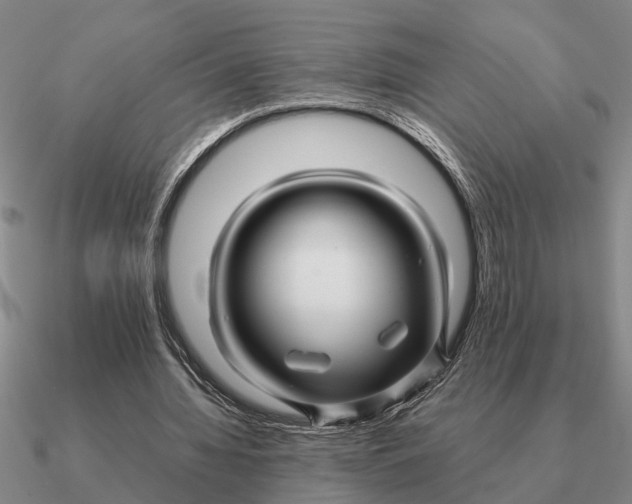 X0000090600436200708071146