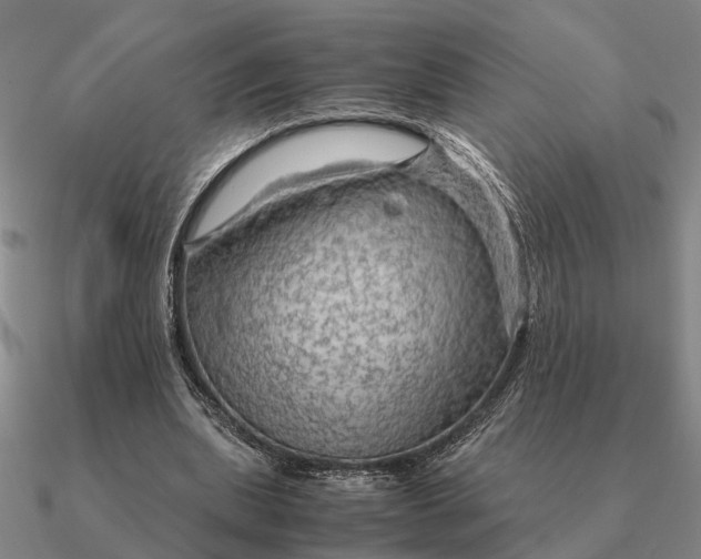 X0000090600439200708071146