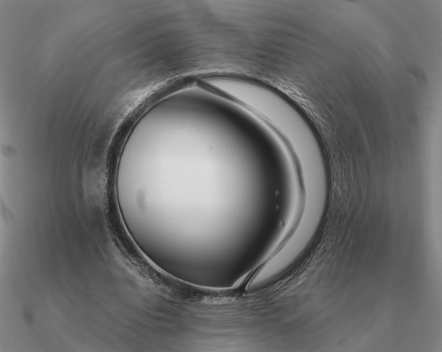 X0000090600440200708071146