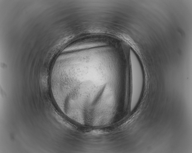 X0000090600441200708071146