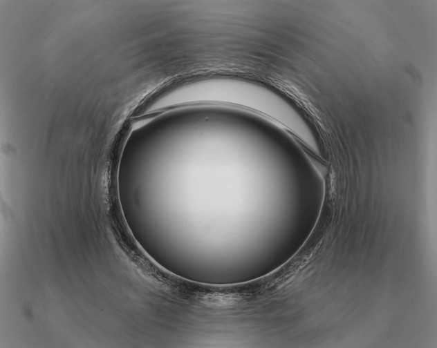 X0000090600444200708071146