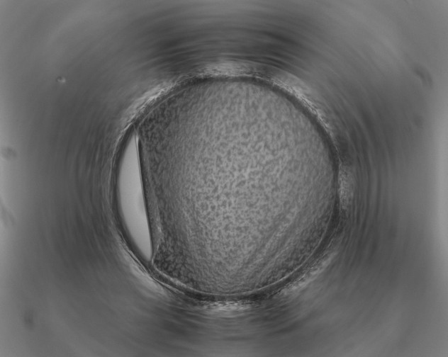 X0000090600445200708071146