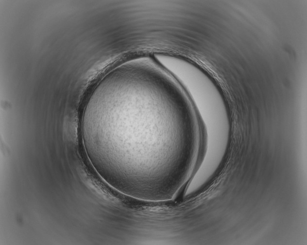 X0000090600446200708071146