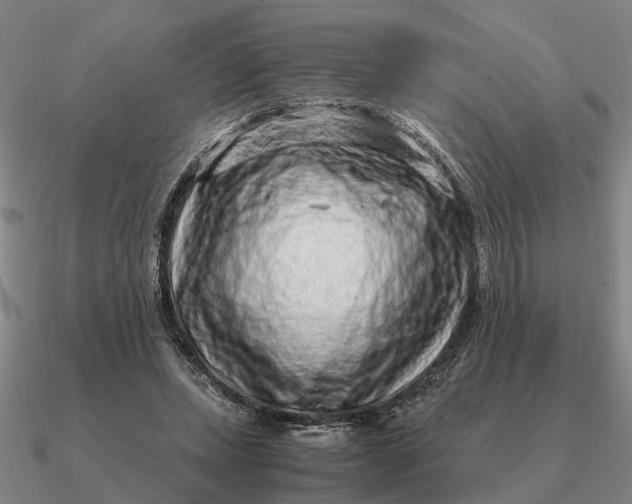 X0000090600447200708071146