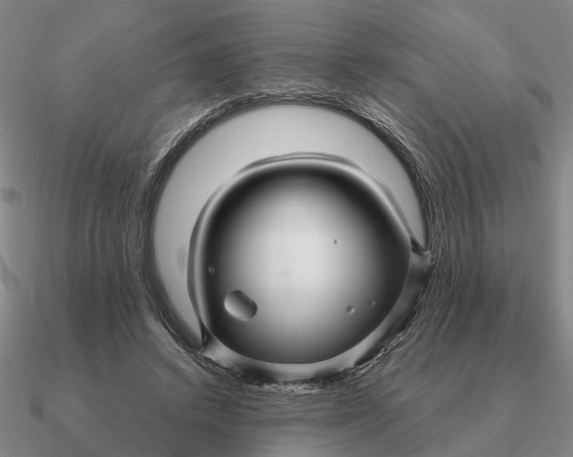 X0000090600448200708071146