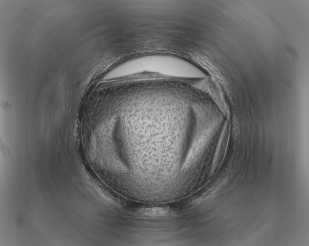 X0000090600449200708071146