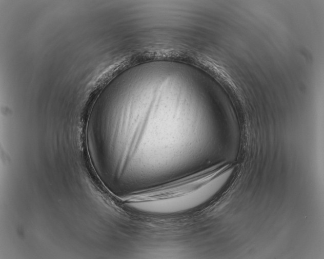 X0000090600450200708071146