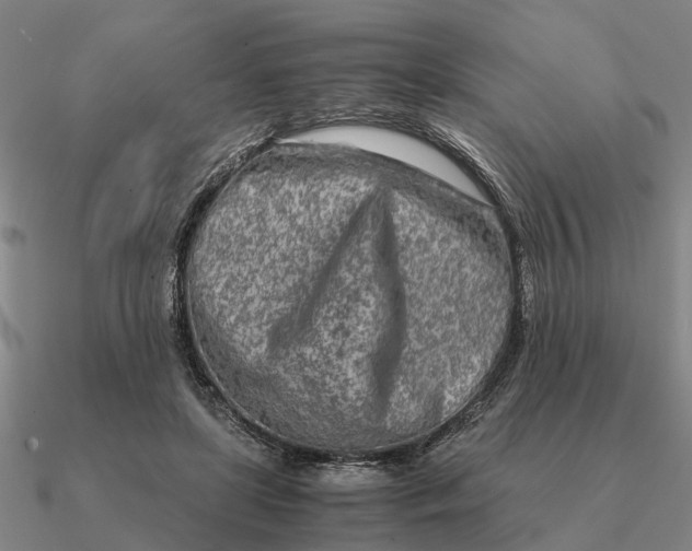 X0000090600451200708071146