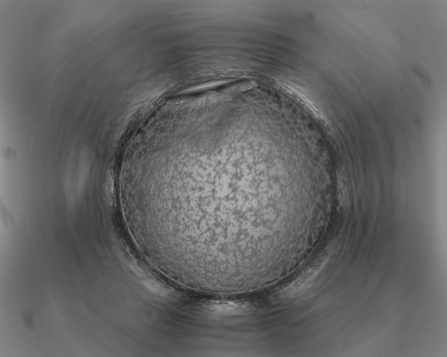 X0000090600453200708071146