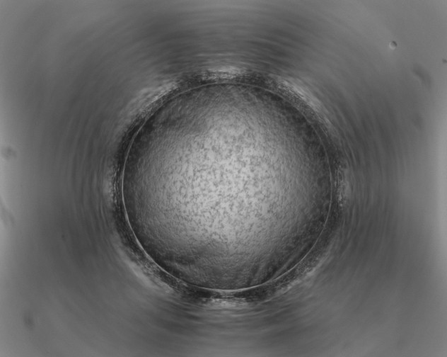 X0000090600455200708071146