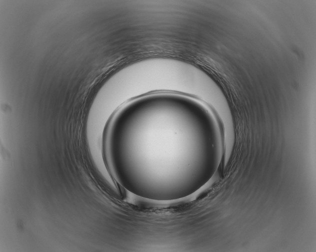 X0000090600456200708071146