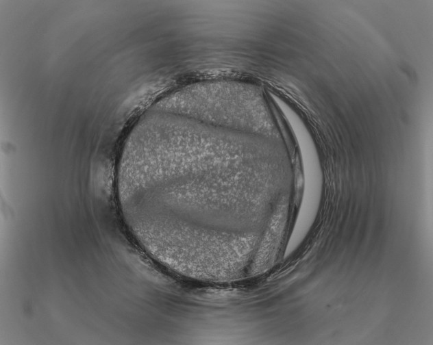 X0000090600458200708071146