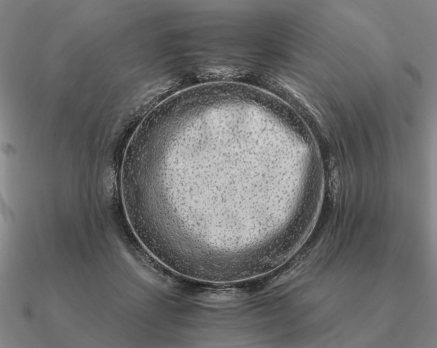 X0000090600459200708071146