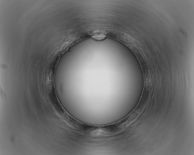 X0000090600460200708071146