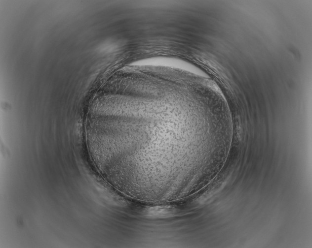 X0000090600461200708071146