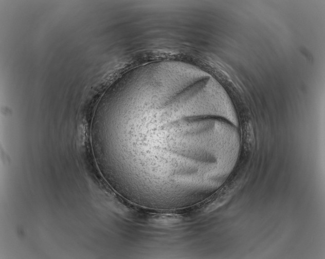 X0000090600463200708071146