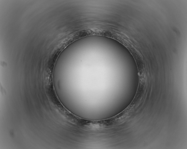 X0000090600464200708071146