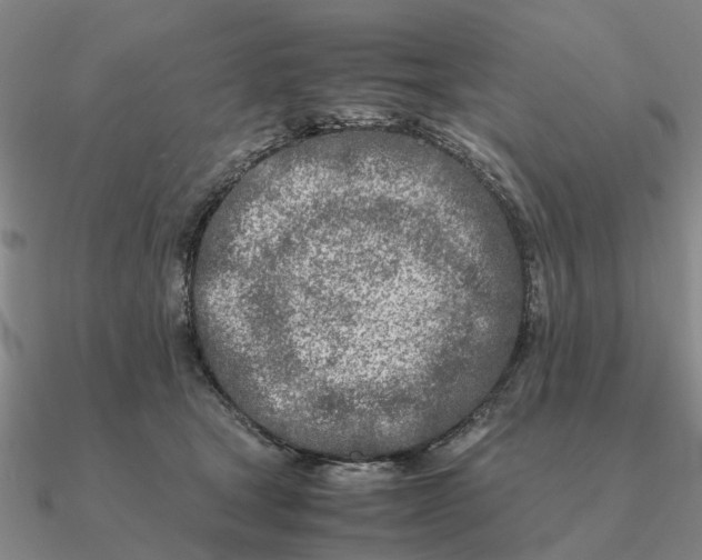 X0000090600465200708071146