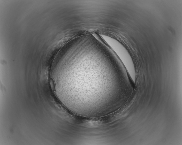 X0000090600466200708071146