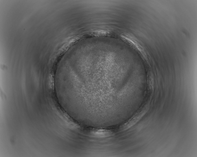 X0000090600467200708071146