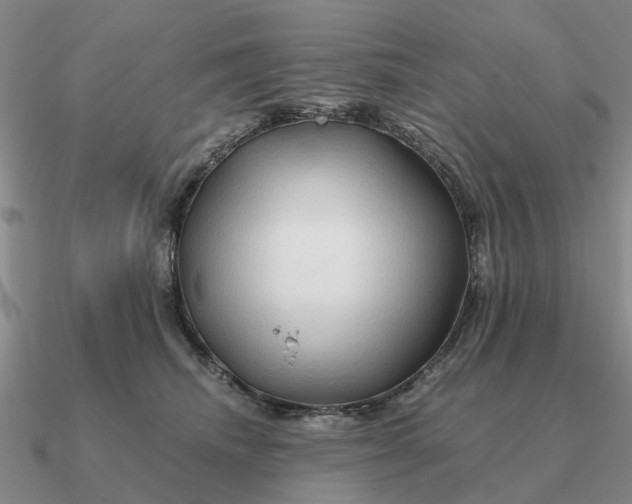 X0000090600468200708071146