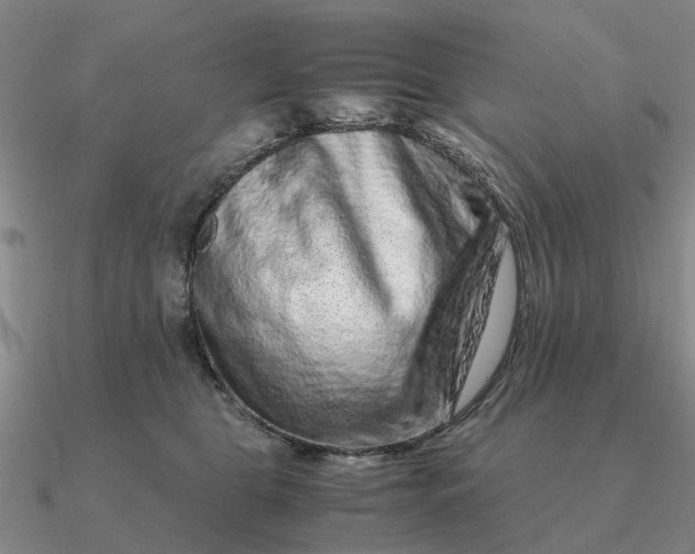 X0000090600469200708071146