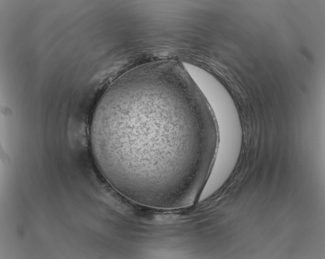 X0000090600470200708071146