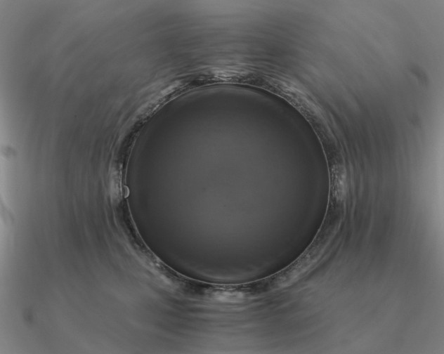 X0000090600471200708071146