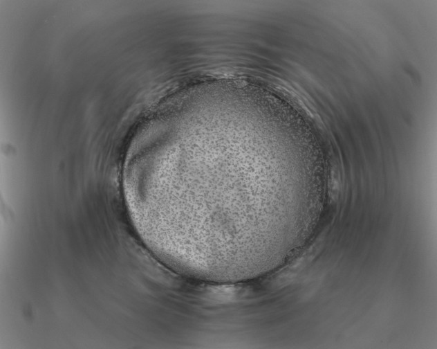 X0000090600473200708071146